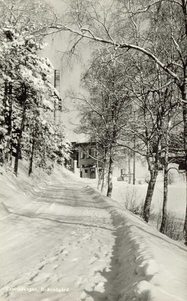 Historiskt vykort från omkring 1955: Fabriksvägen i Brännögård, Brännögård